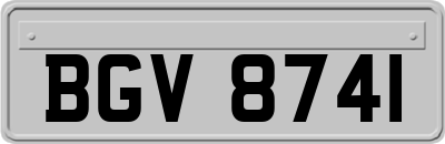 BGV8741