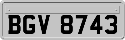 BGV8743