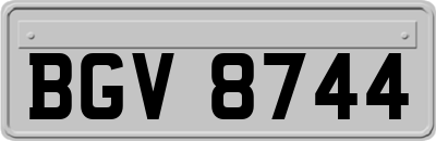 BGV8744