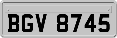 BGV8745