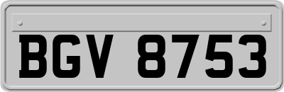 BGV8753
