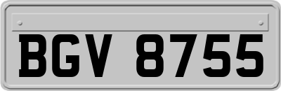BGV8755