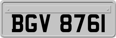 BGV8761