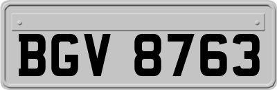 BGV8763