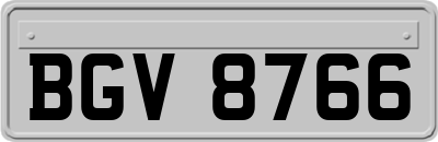 BGV8766