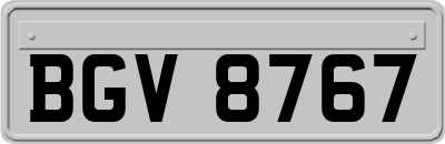 BGV8767