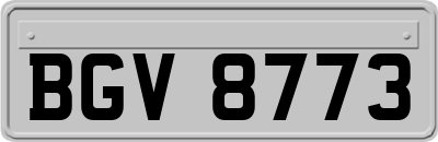 BGV8773