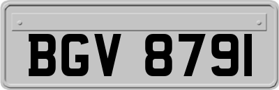 BGV8791