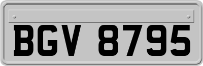 BGV8795