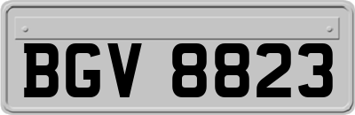 BGV8823