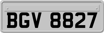BGV8827