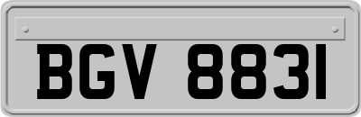 BGV8831