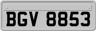 BGV8853
