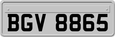 BGV8865