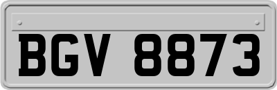 BGV8873