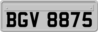 BGV8875