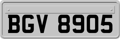 BGV8905