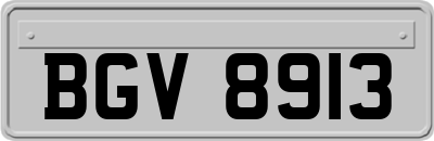 BGV8913