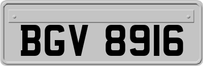 BGV8916