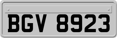 BGV8923