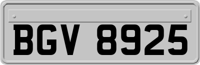 BGV8925