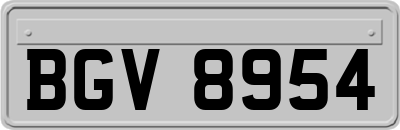 BGV8954
