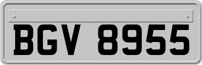 BGV8955