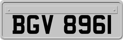 BGV8961