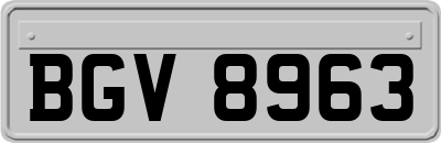 BGV8963