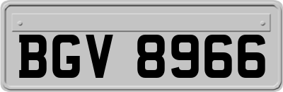 BGV8966