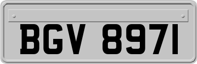 BGV8971