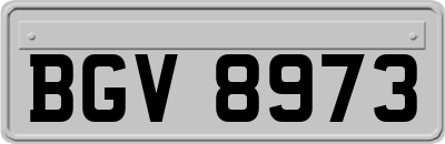 BGV8973