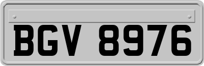 BGV8976