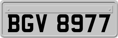 BGV8977