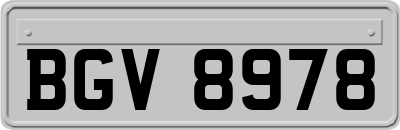 BGV8978
