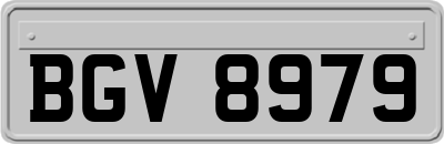BGV8979