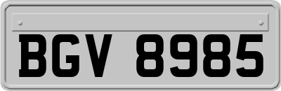 BGV8985