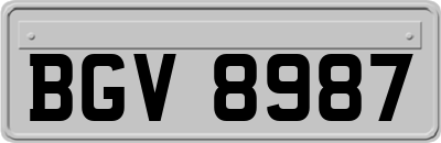 BGV8987