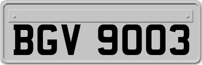 BGV9003