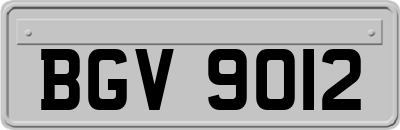 BGV9012
