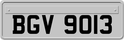 BGV9013