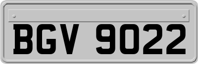 BGV9022