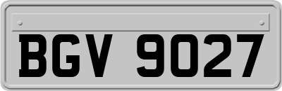 BGV9027
