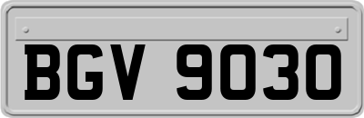 BGV9030