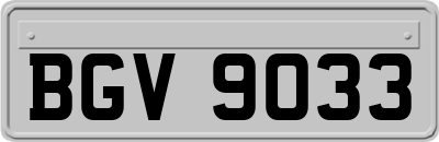 BGV9033