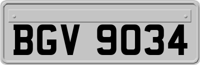 BGV9034