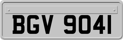 BGV9041
