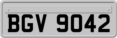 BGV9042