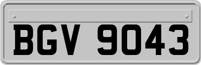 BGV9043