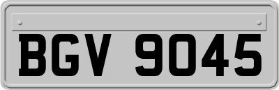 BGV9045